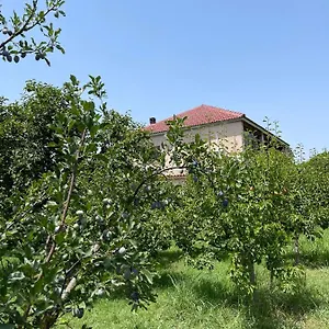  Habitación en casa particular Mance Albania